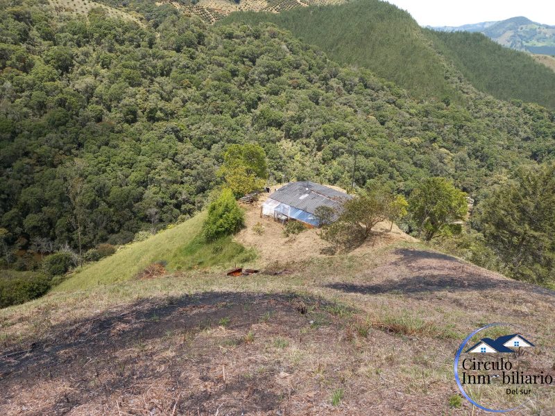 Finca disponible para Venta en La Union Vereda La Cabaña Foto numero 1